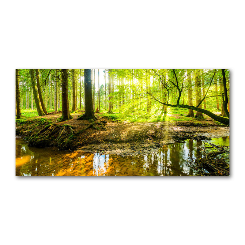 A Waterfall In The Forest - Wrapped Canvas Print, Canvas, 50cm H x 100cm W x 2cm D