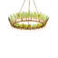 Selavy 11 - Light Chandelier