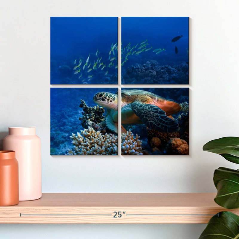 Corail et tortue Brampt, H 18 po x l 18 po