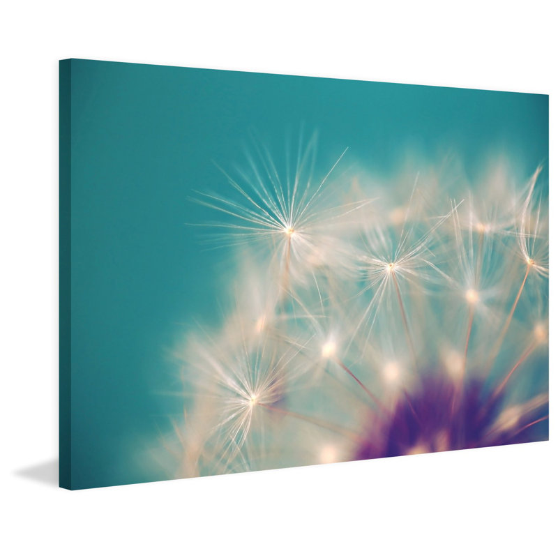 «Pissenlit» par Sylvia Cook - impression sur toile tendue, H 30 po x l 45 po x 1,5 po