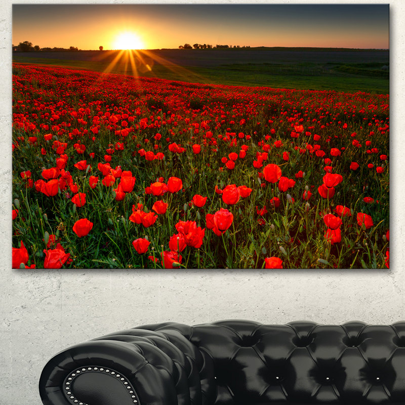 Coucher de soleil sur un jardin avec coquelicots rouges - reproduction de photo sur toile tendue, H 12 po x l 20 po
