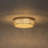 Antique Bronze Round Led Crystal Flush Mount
