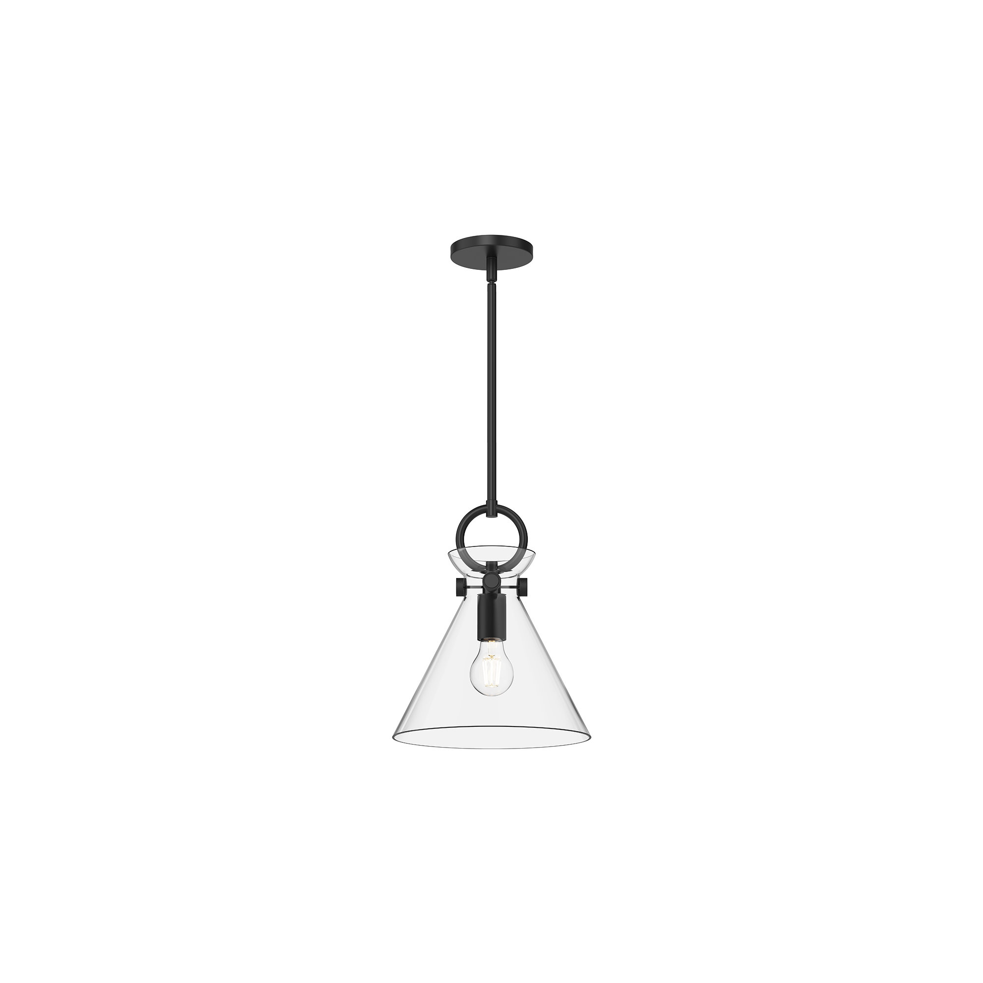 Tiney Single Light Glass Steel Pendant, 12.75" H x 10.5" W x 10.5" D, Matte Black/Clear