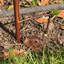 Evelina Animals Metal Garden Statue