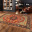 Oriental Area Rug-1690325963