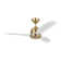 LED Ceiling Fan