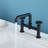 Widespread 2-handle Bathroom Faucet