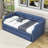 Cafaro Twin Size Upholstered Daybed with Twin Size Trundle-551820134