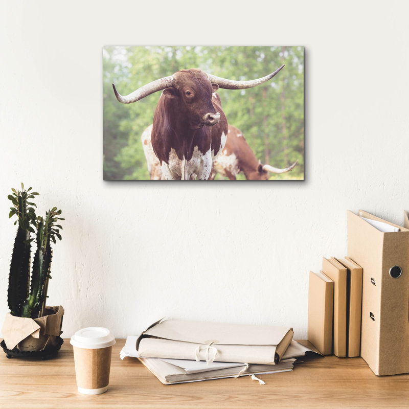 «Longhorn Gaze 1» par Nathan Larson, art mural sur toile