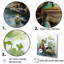 «Cute Frog Portrait At The Pond II», reproduction sur toile-1577594053-1577594048