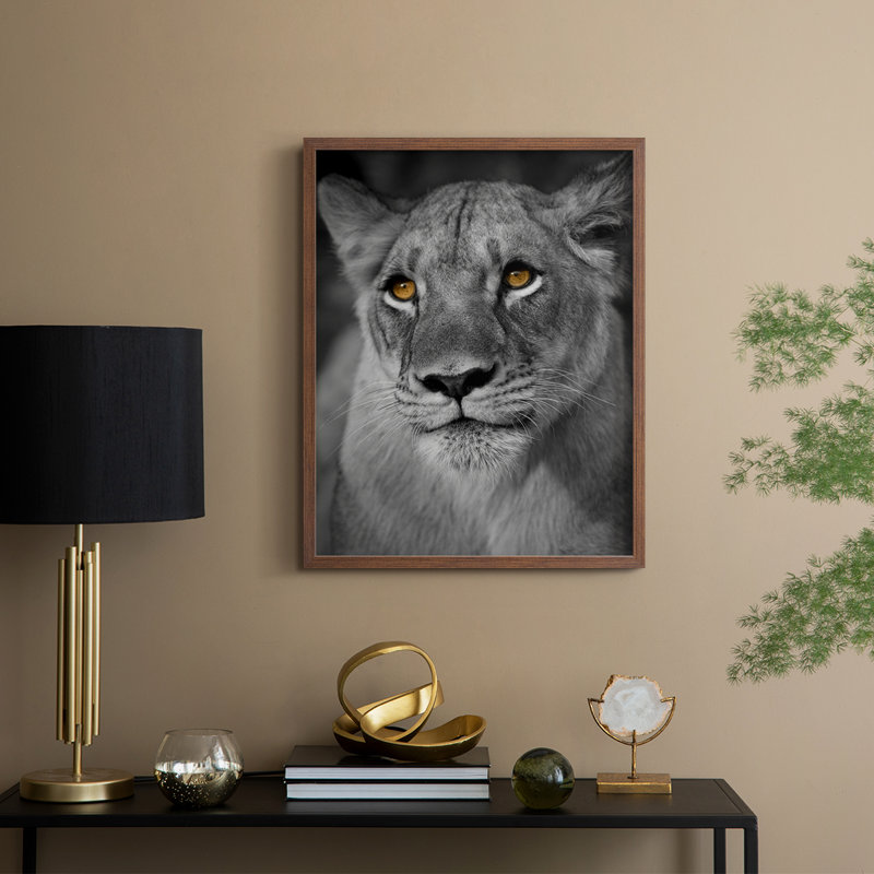 Portrait de lionne, reproduction encadrée - bois massif, H 21 po x l 17 po, Noyer