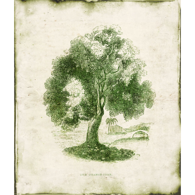 «Evergreen III» par Zoey Riley - Peinture, H 29 po x l 24 po x P 1,5 po, Extérieur