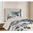 Modern & Contemporary Polyester Coverlet