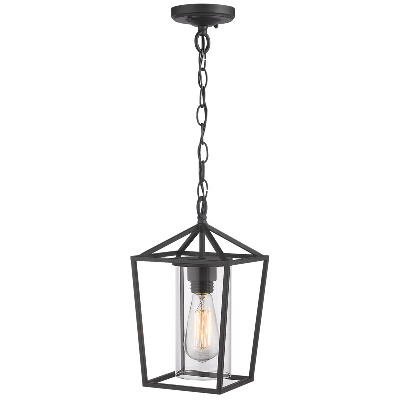 Hartshorn Outdoor Hanging Lantern