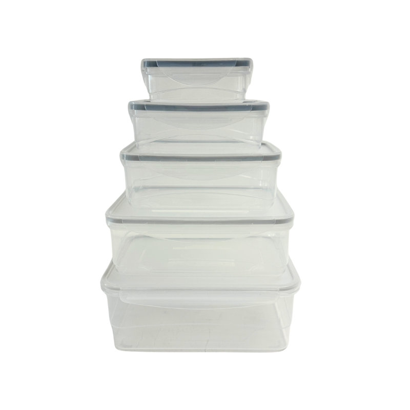 Contenant alimentaire Dammien - ensemble de 5, Gris
