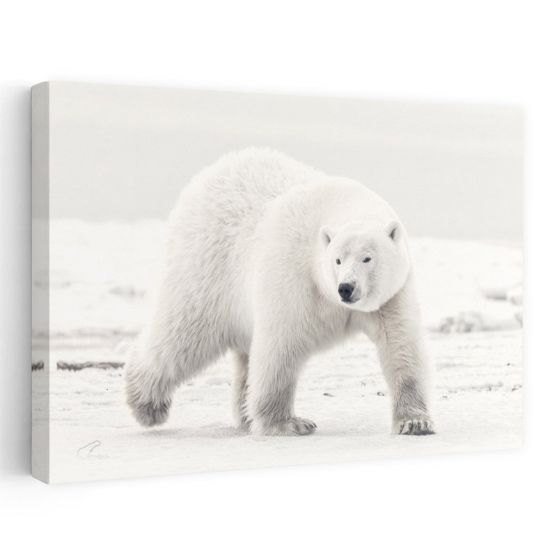 Arctic Polar Bear Peaceful Abstract Contemporary Bear Landscape Nature Wall Art Print by Eiji Itoyama - Wrapped Canvas Print