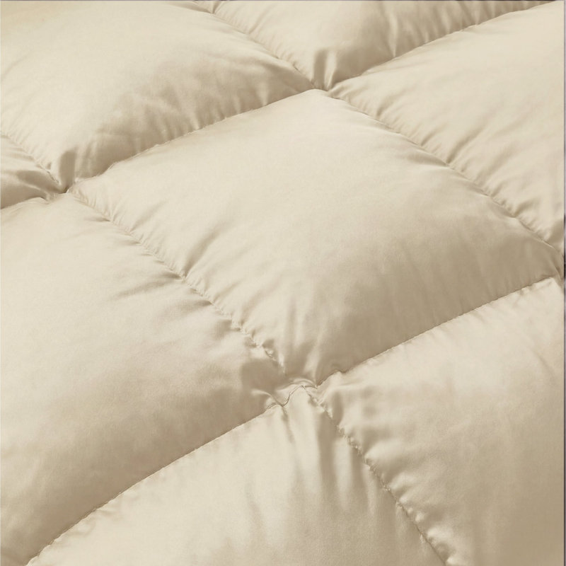 Grand Down All-Season Reversible Down Alternative Comforter-Plush & Hypoallergenic, Ivory, Twin/Twin XL Comforter