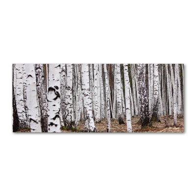 Birch-Tree - Wrapped Canvas Print