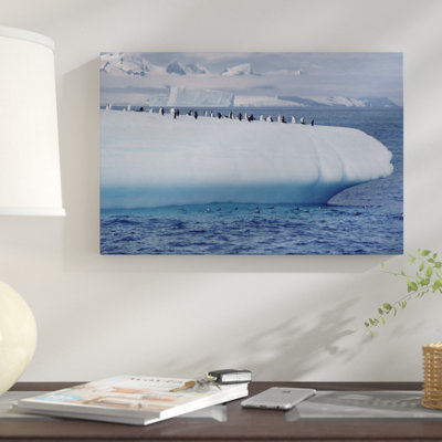 " Chinstrap Penguin Group On Iceberg, Palmer Peninsula, Antarctica "