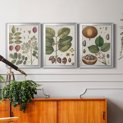Exotic Botanique I - Ensemble de 3 reproductions d'art sur toile