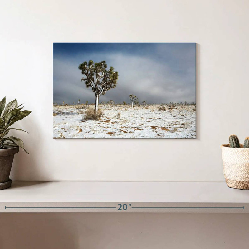 Harnek Snowy Mojave Desert, H 8 po x l 12 po