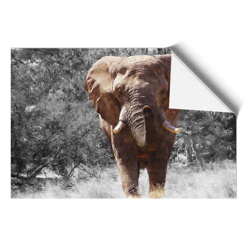 Elephant Painting - Frameless Print, 30cm H x 42cm W x 0.1cm D