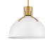 Luminaire suspendu en dôme à 1 lumière Clendon-38031696-74008649-74008652