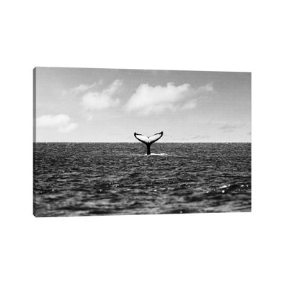 " Whale Tail " by Gal Design
