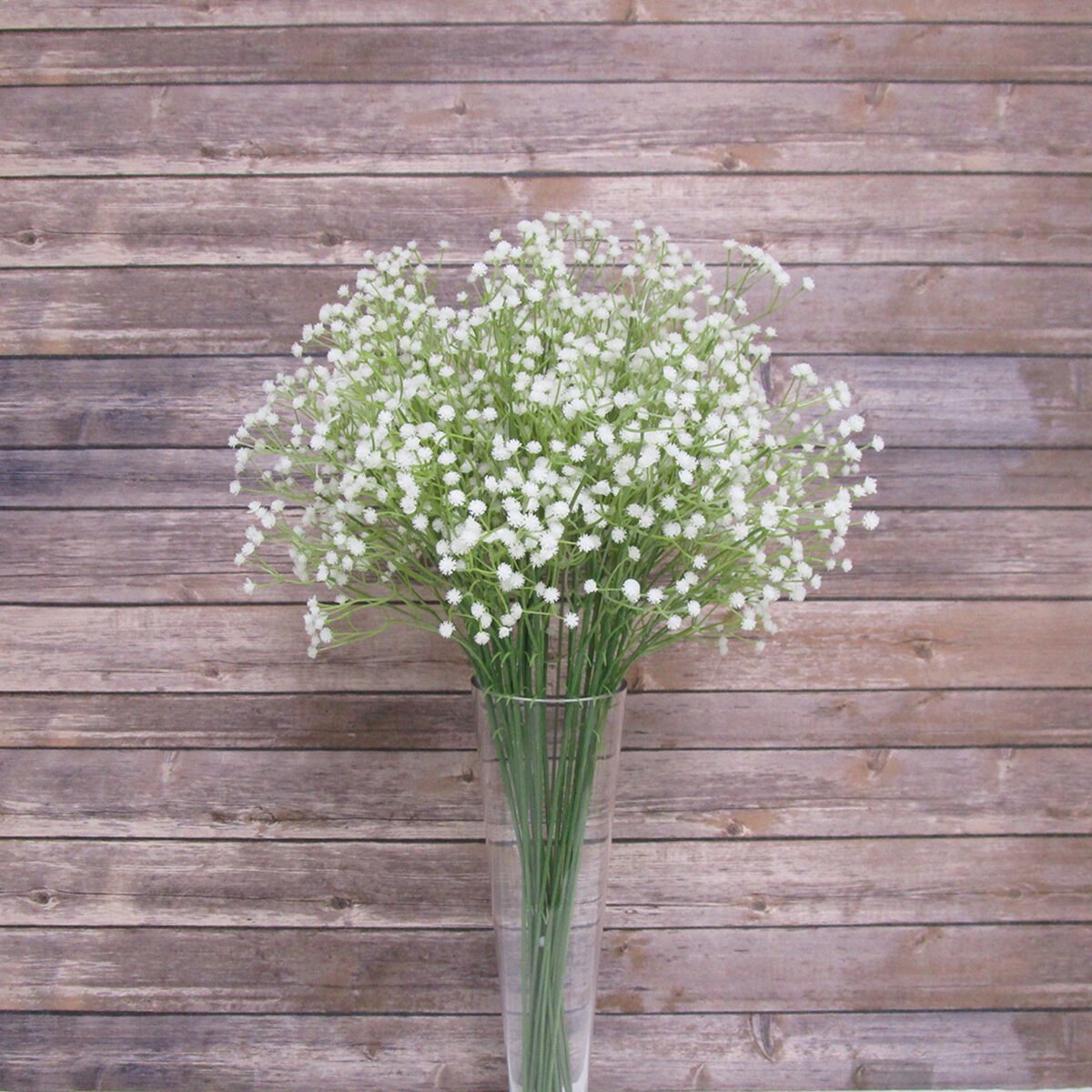 Baby's Breath Stems Primrue