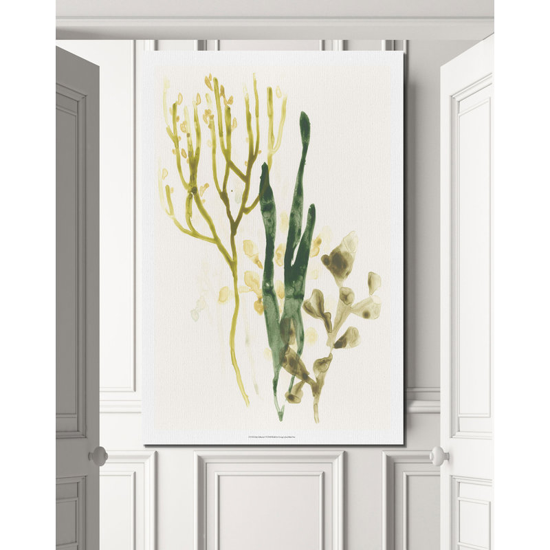 « varech collection v », reproduction, H 18 po x l 12 po x P 1,5 po, Toile tendue
