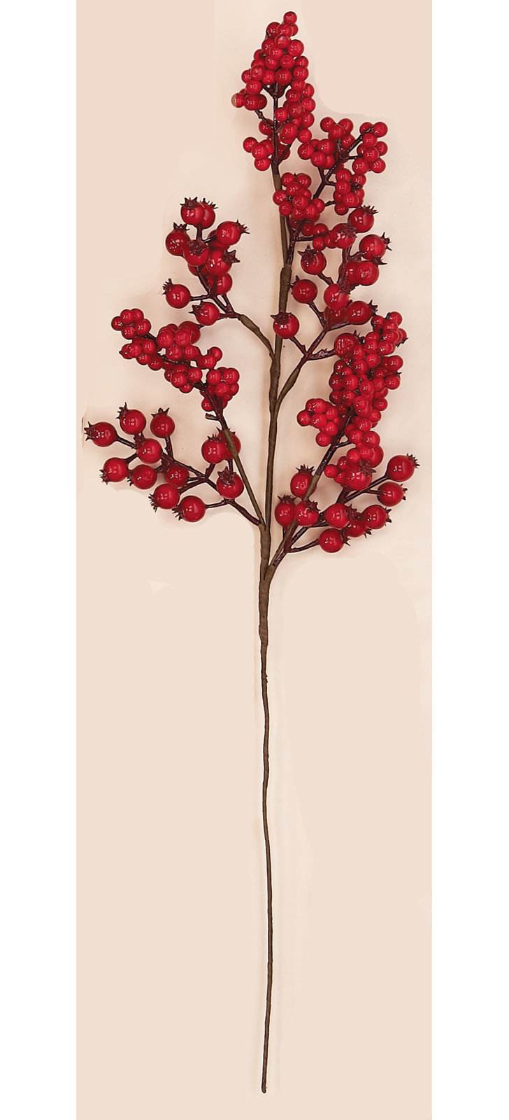 29" Mixed Berry Branch