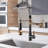 Augusts Tanhaung-8 Pull Down Kitchen Faucet-80830388