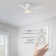 Gabrand 48'' Ceiling Fan with light