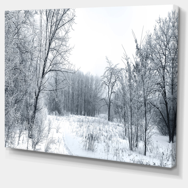 « belle hiver panorama », impression sur toile tendue, H 8 po x l 12 po x P 1 po