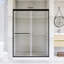 54 po X P 72 po Porte de douche coulissante double H-112112347