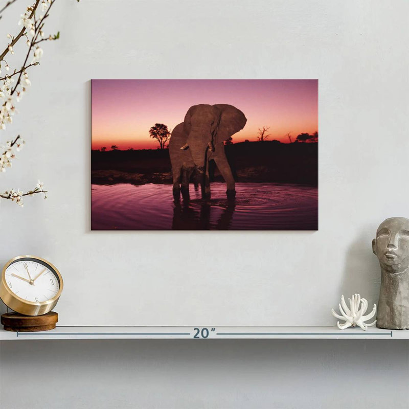 Elephant Sunrise Bathing, 8" H x 12" W
