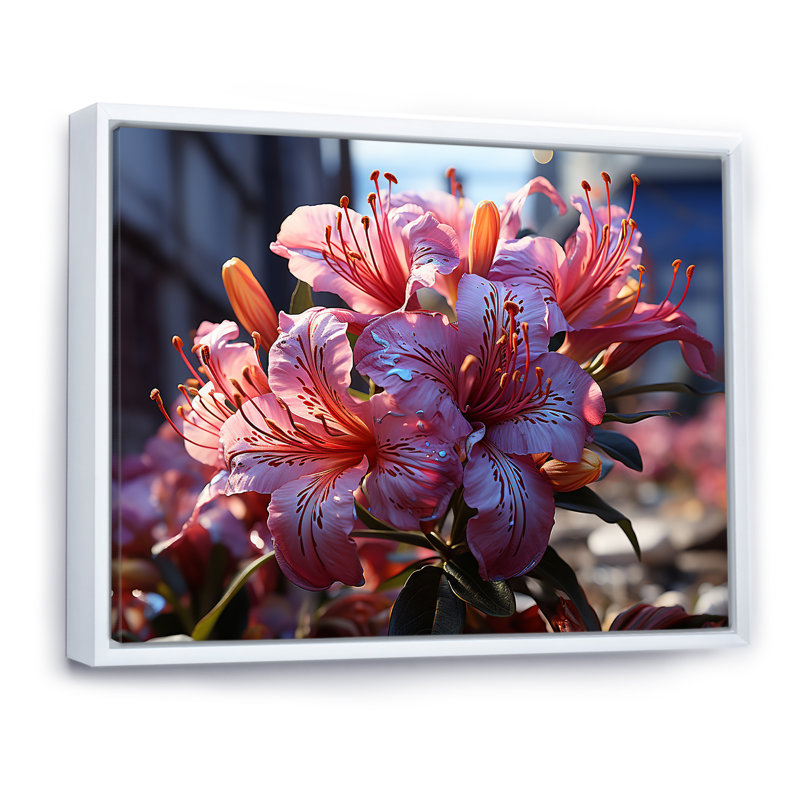 Graffiti, rhododendron, oasis urbaine I, Cadre flottant blanc, H 12 po x l 20 po x P 1 po