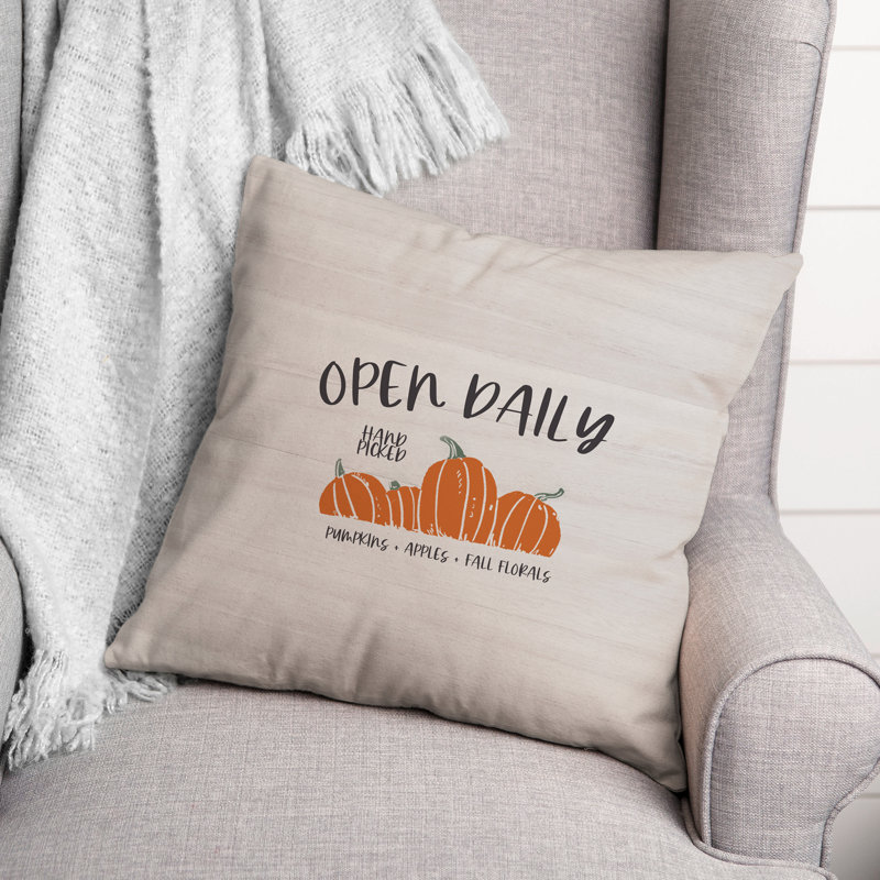 Housse de coussin et insert Open Open, 16 po x 16 po