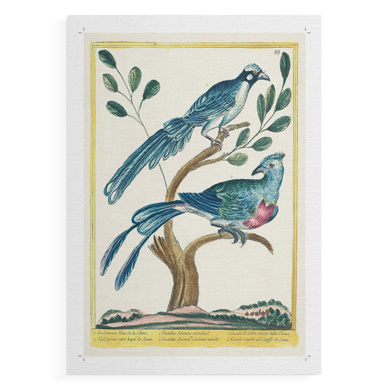 Pastel Birds VI - Impression sur toile seulement - NON CADRE, H 18 po x l 12 po