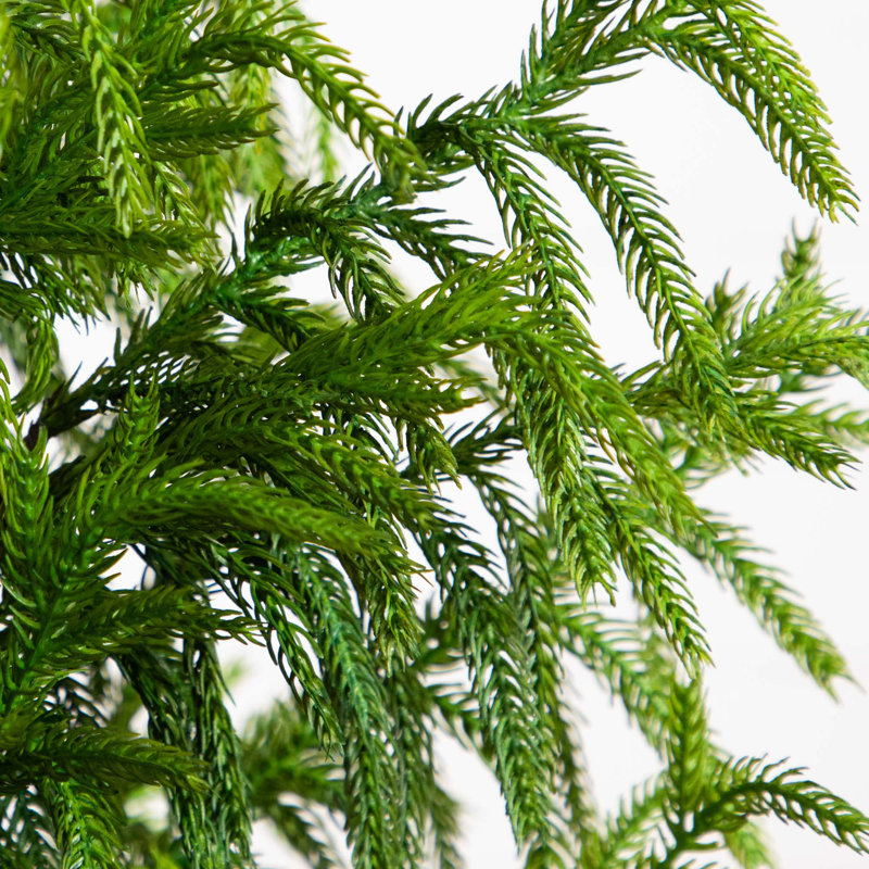 Artificial Norfolk Pine Tree, 5'