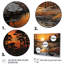 Golden Sunrise Silhouetted IV - Landscapes Wall Decor-2049993040-2049993055