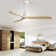 Jazyra 52'' Ceiling Fan with LED Lights