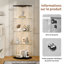 Display Cabinet-640038381