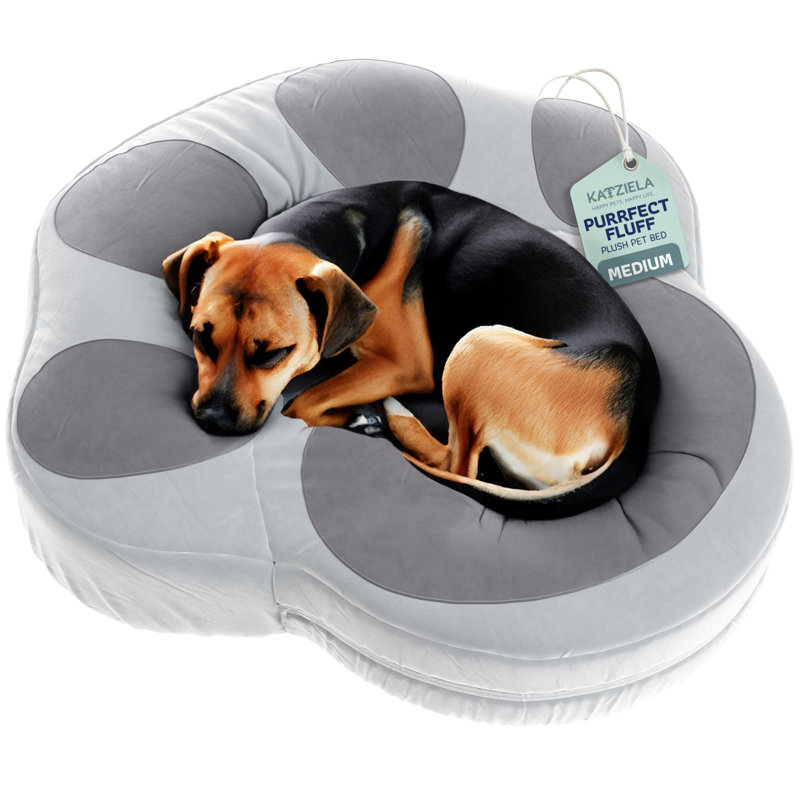 Lit pour chien et chat Katziela, H 30 po x l 6 po x P 30 po, Brume grise