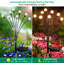 2X Bigger Solar Swaying Lights, 32 LEDs Solar Outdoor Decoration Light for Christmas