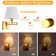 LED Swing Arm Sconce