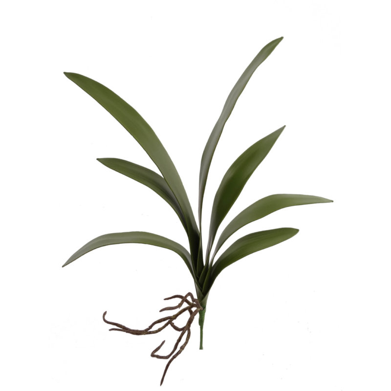 Artificial Cymbidium Leaf Clusters - Faux Plant Decor