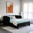 Upholstered Sofa Bed with 2 Storage Drawers | Adjustable Velvet Platform Bed Frame | Convertible Daybed for Living Room, Guest Room, or Home Office-1271204494