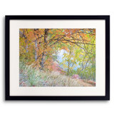 Quiet Autumn Portrait, Zion National Park Print by Bruce Heinemann