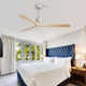 Nicola 52" 3 - Blade Standard Ceiling Fan with Remote Control